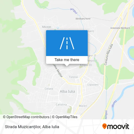 Strada Muzicanților map