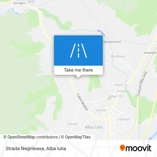 Strada Negrileasa map