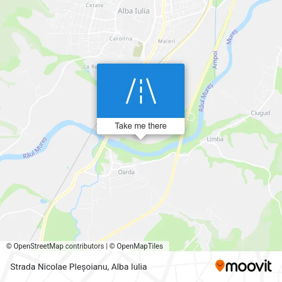 Strada Nicolae Pleșoianu map