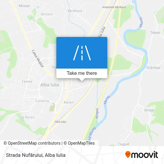 Strada Nufărului map