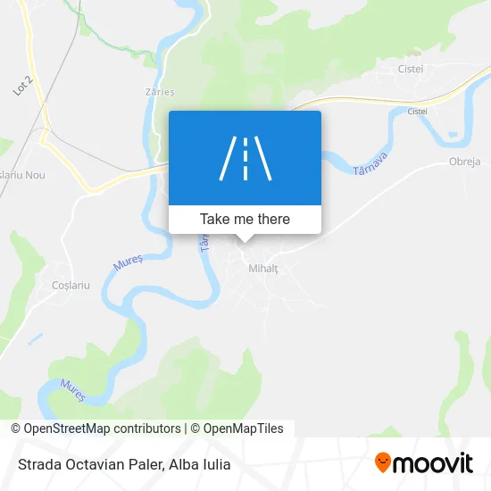 Strada Octavian Paler map