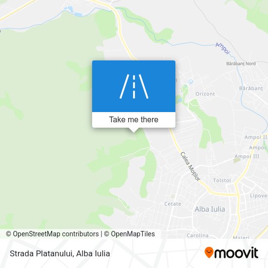 Strada Platanului map