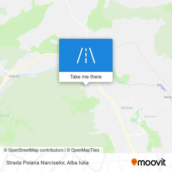 Strada Poiana Narciselor map