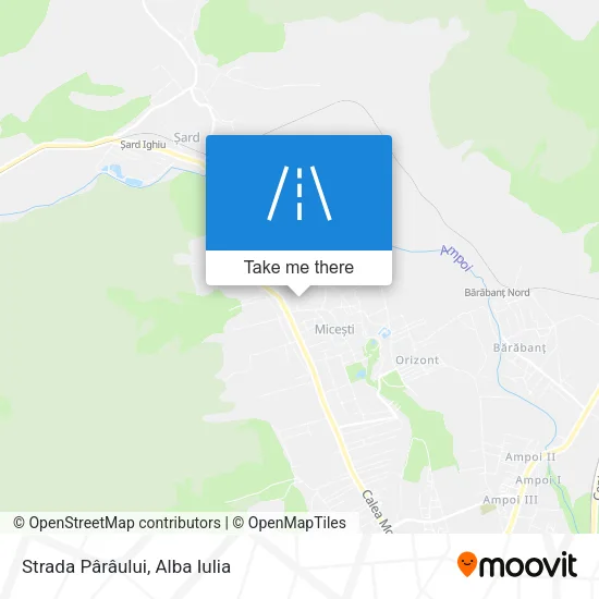 Strada Pârâului map