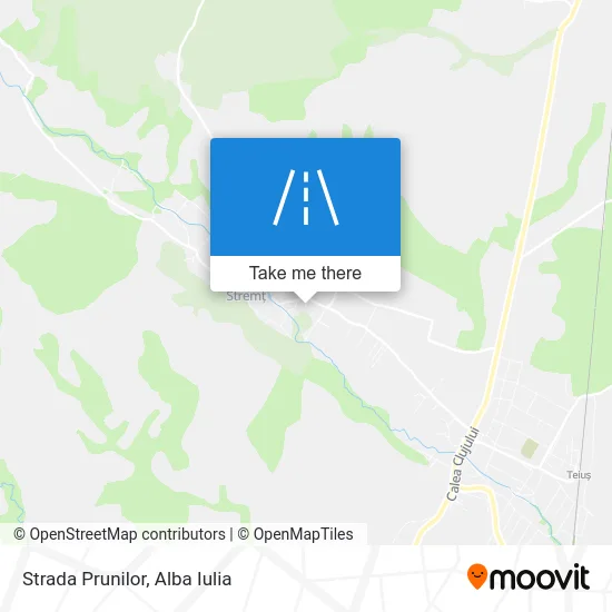 Strada Prunilor map