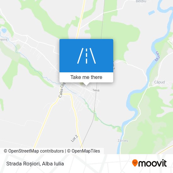 Strada Roșiori map