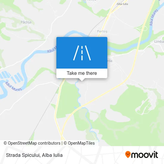 Strada Spicului map