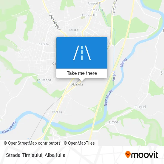 Strada Timișului map