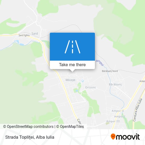 Strada Topliței map