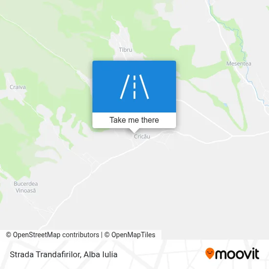 Strada Trandafirilor map