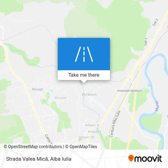 Strada Valea Mică map