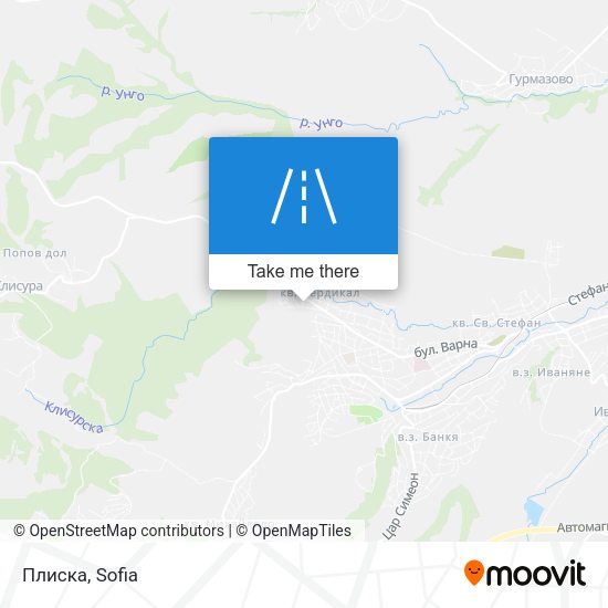 Плиска map