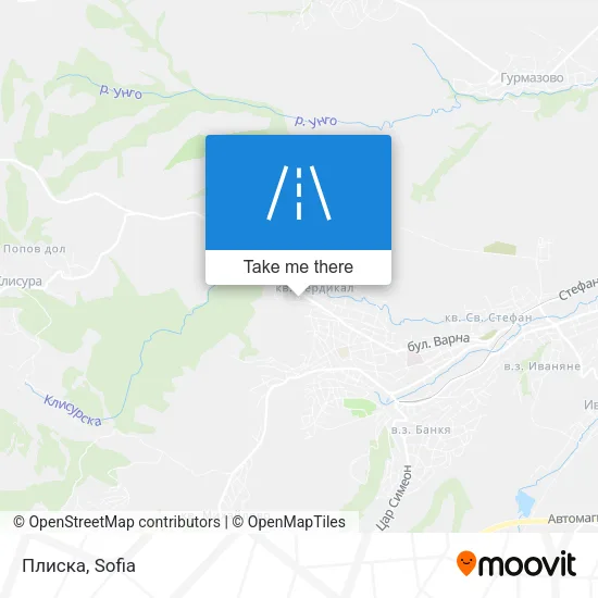 Плиска map
