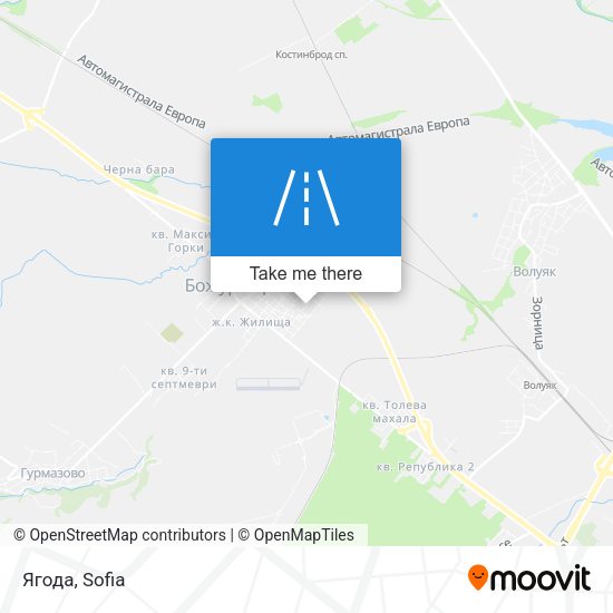 Ягода map