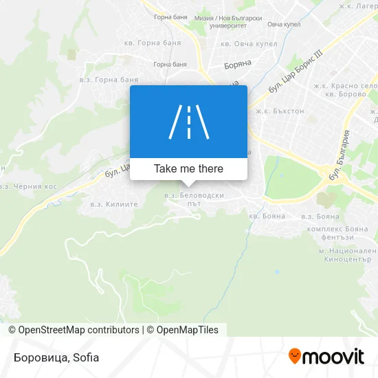 Карта Боровица