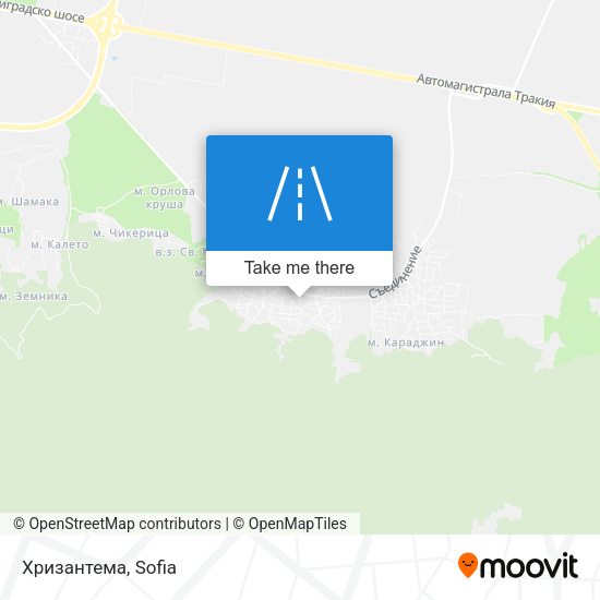 Хризантема map