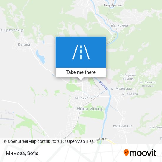 Мимоза map