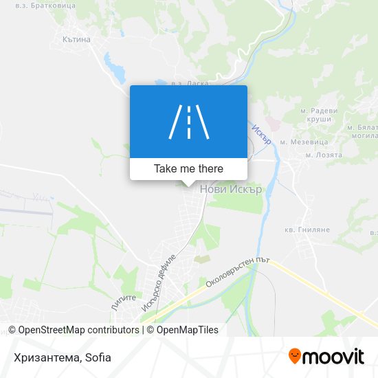 Хризантема map
