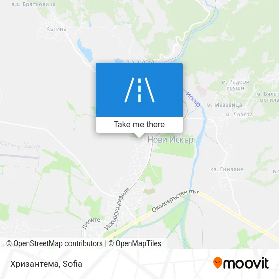 Карта Хризантема