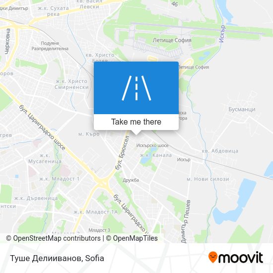 Туше Делииванов map