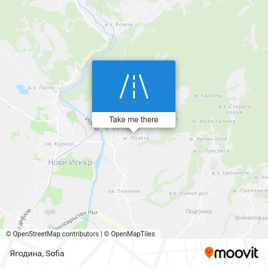 Ягодина map