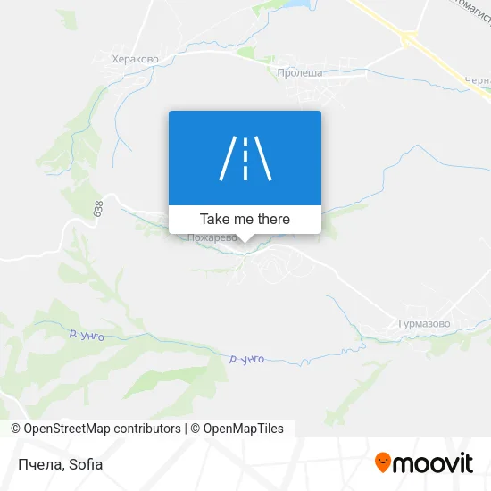 Пчела map