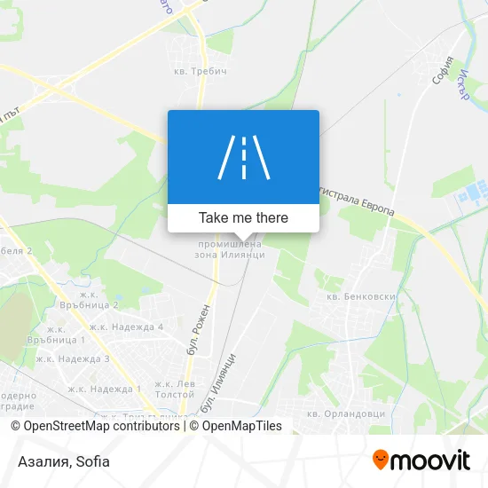 Азалия map