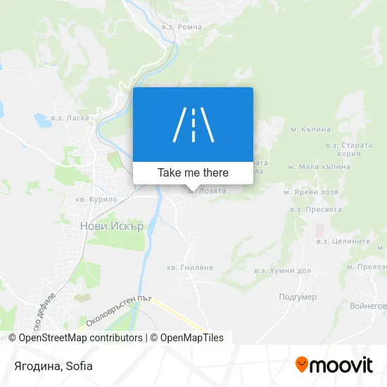 Ягодина map