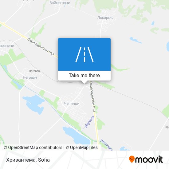 Хризантема map
