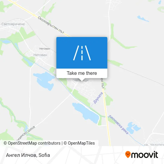 Ангел Илчов map