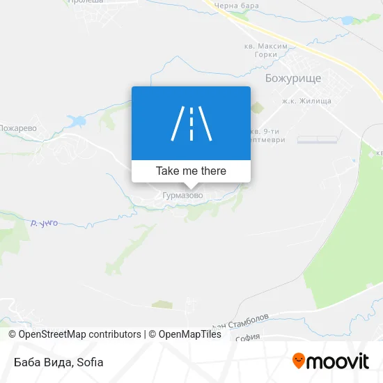 Карта Баба Вида