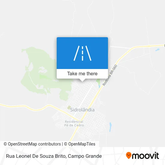 Rua Leonel De Souza Brito map