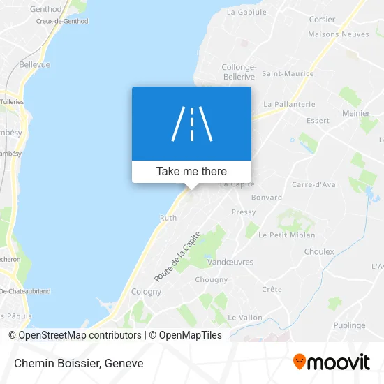 Chemin Boissier map