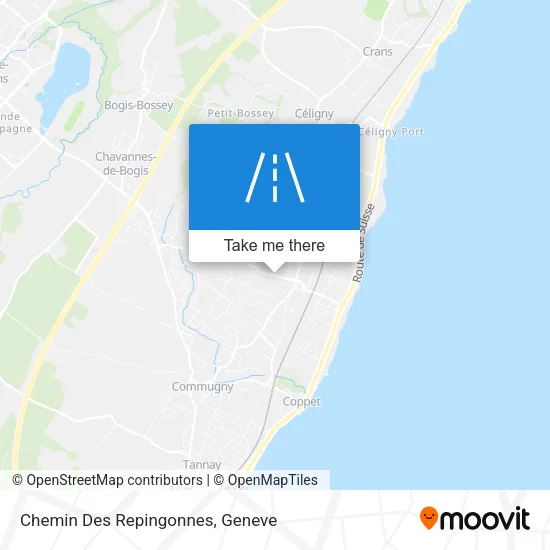 Chemin Des Repingonnes map