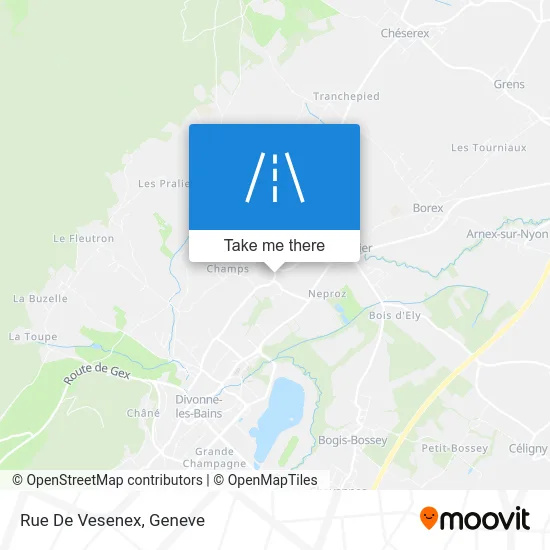 Rue De Vesenex map