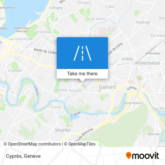 Cyprès plan