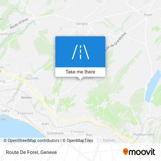 Route De Forel map