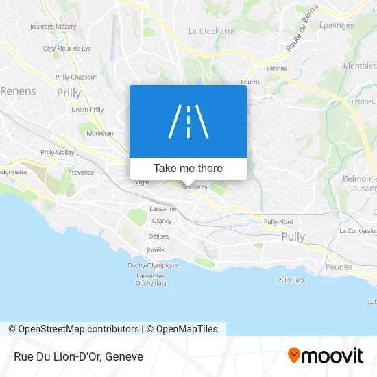 Rue Du Lion-D'Or map