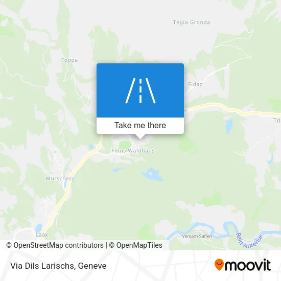 Via Dils Larischs map