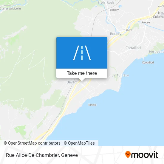 Rue Alice-De-Chambrier map