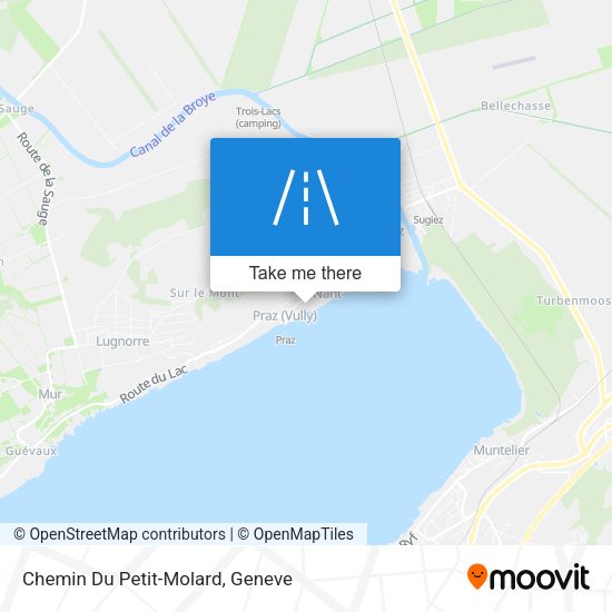 Chemin Du Petit-Molard map