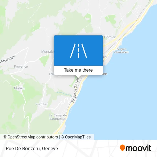Rue De Ronzeru map
