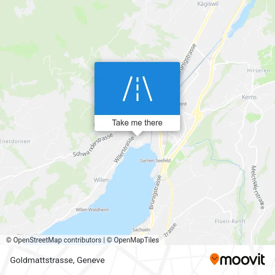 Goldmattstrasse map