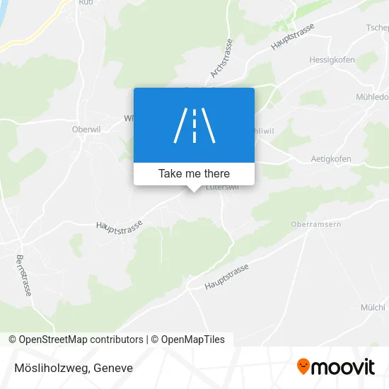 Mösliholzweg map