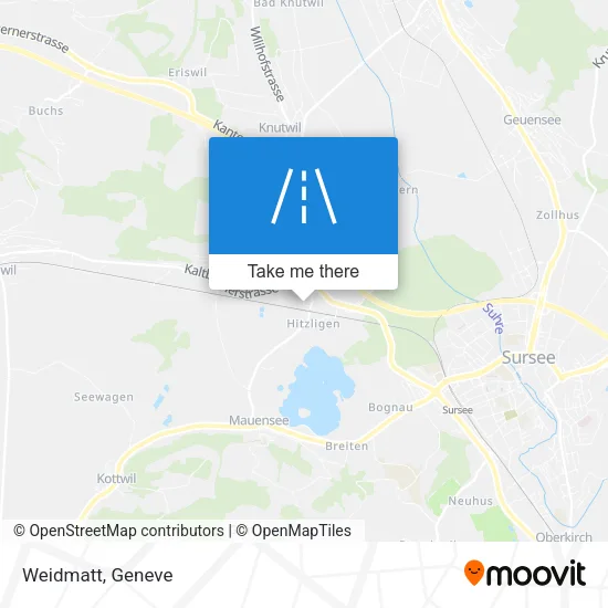 Weidmatt map