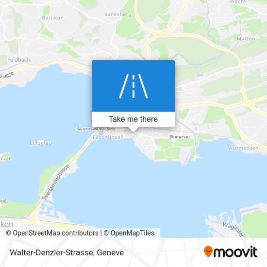 Walter-Denzler-Strasse map