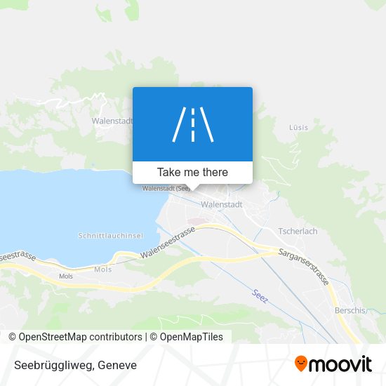 Seebrüggliweg map