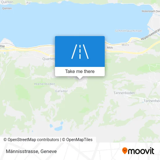 Männisstrasse map