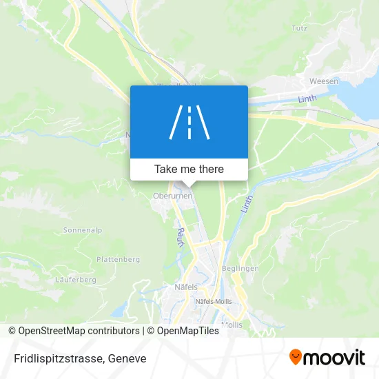 Fridlispitzstrasse map