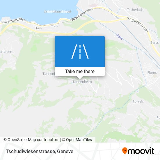 Tschudiwiesenstrasse map